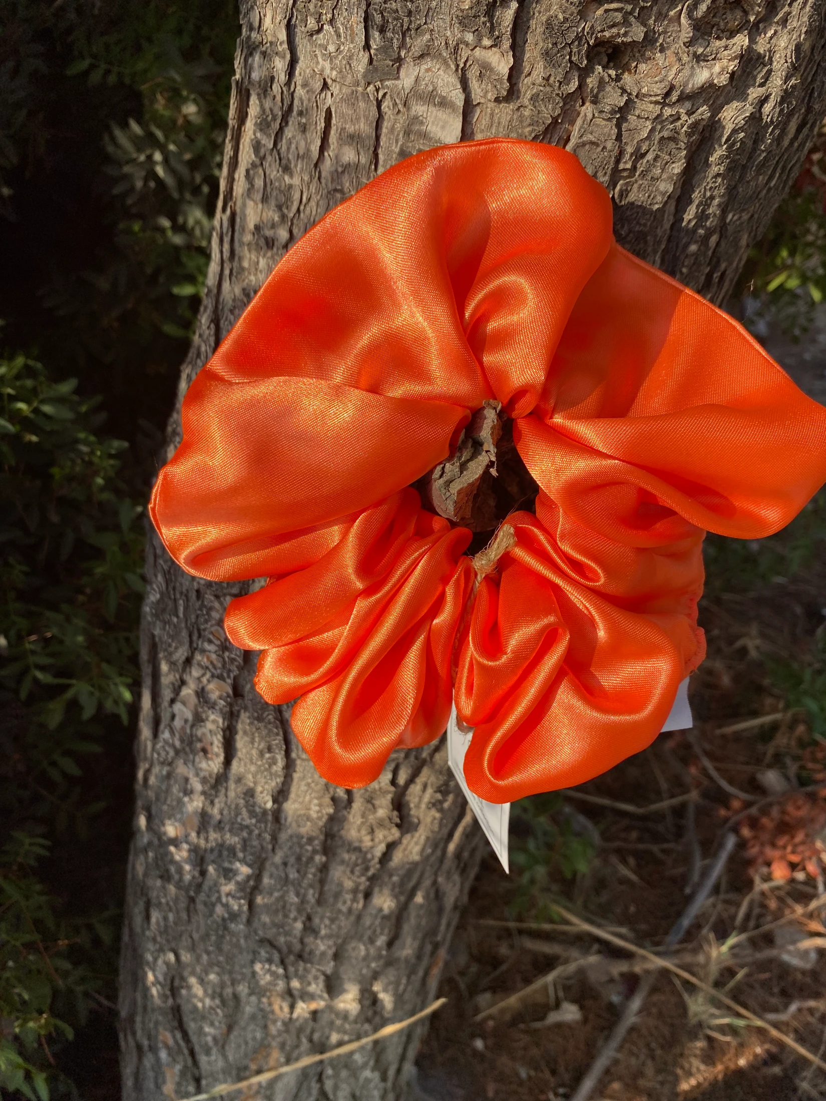 Scrunchie Mandarin - φωτογραφία 1